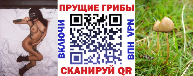 Галлюциногенные грибы MAGIC MUSHROOMS  Купить  Адыгейск 