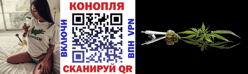 Конопля план  Купить  Адыгейск 